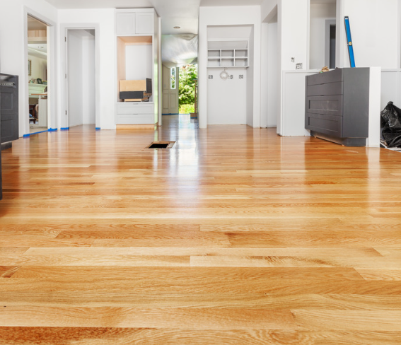 Hardwood Floors