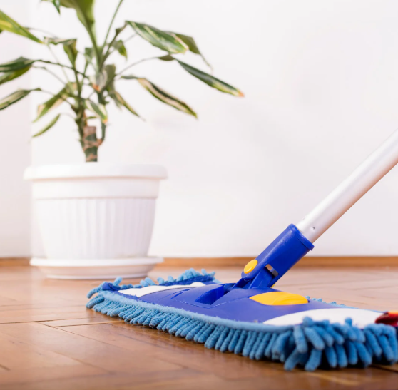 Mopping Hardwood  Floors